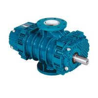 Воздуходувка роторная промышленная Robuschi ROBOX RBS 205